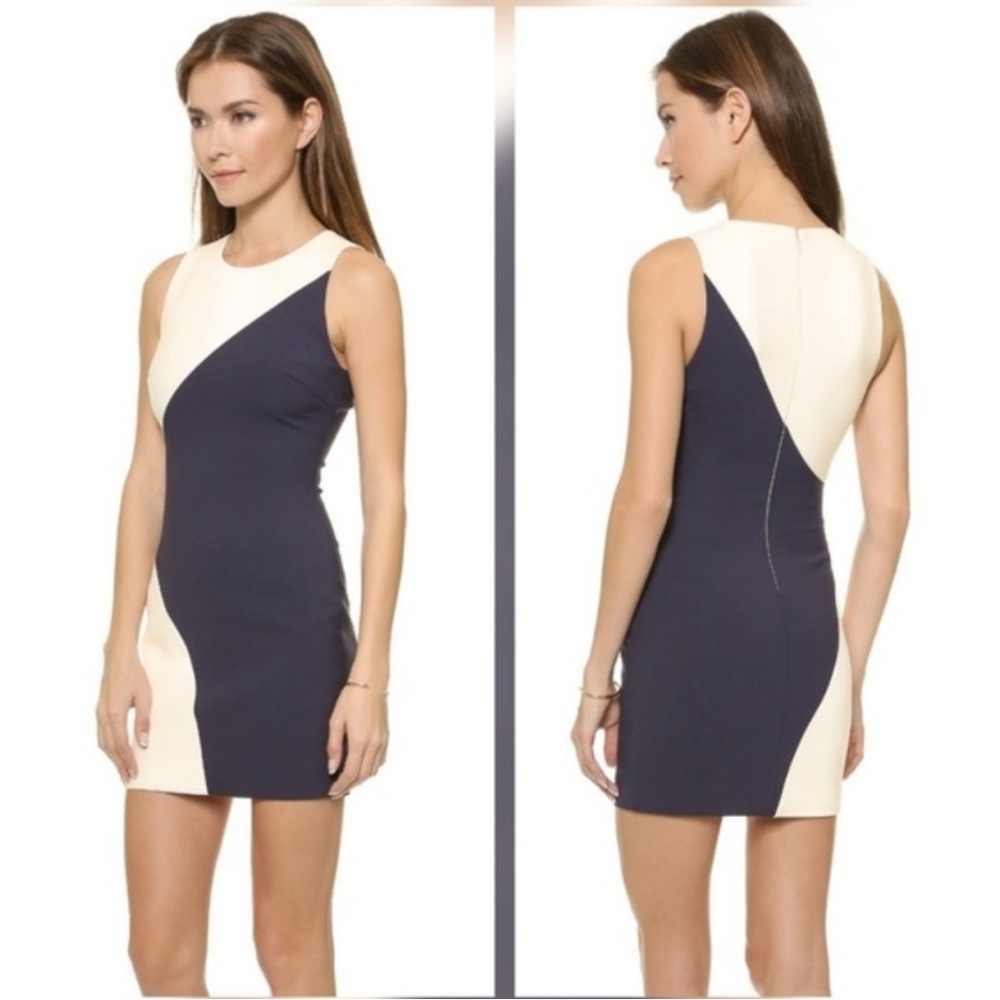 Elizabeth and James sleeveless mini dress